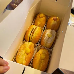 파파도나스 사진