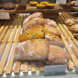 멜버즈 리뷰 사진