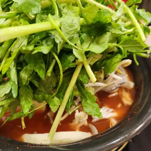 등촌샤브칼국수 리뷰 사진