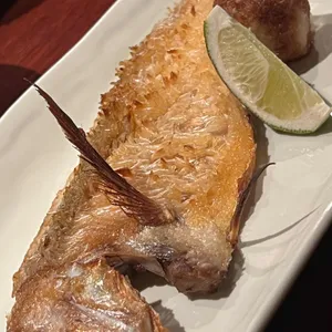 기노 사진