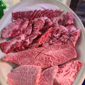 별들의고향 사진