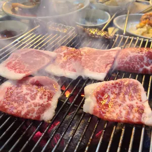 별들의고향 사진