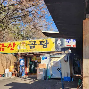 금산곰탕 리뷰 사진