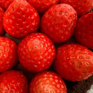 투썸플레이스 사진