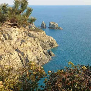 파노라마커피숍 리뷰 사진