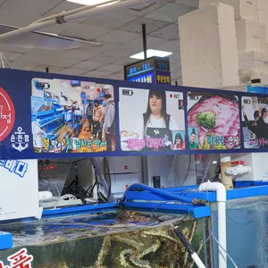 손선장 리뷰 사진