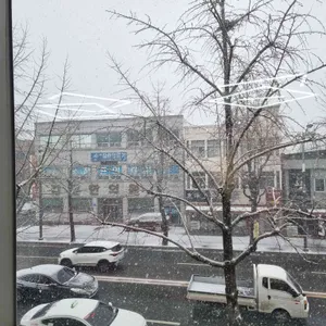 풍년제과 리뷰 사진