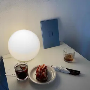 풋토 사진