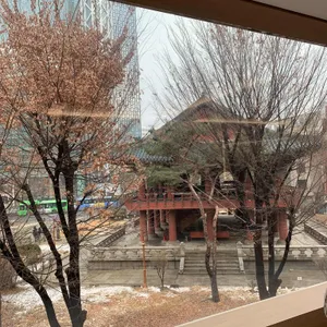노우즈 리뷰 사진