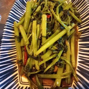 타이마실 리뷰 사진