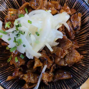 홍대개미 사진