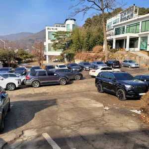 디안 만두전골 리뷰 사진