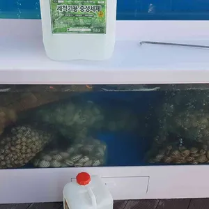 삼척전복해물뚝배기 리뷰 사진