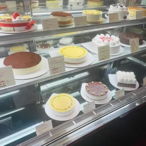 한스 사진