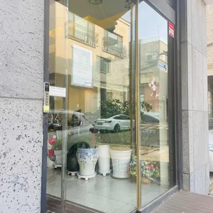 한스 사진