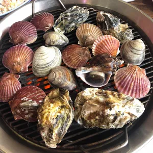 배터지는집 사진