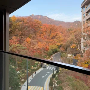 우디플레이트 리뷰 사진