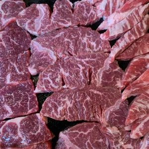 마싯소 사진