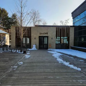 스윙까페 리뷰 사진