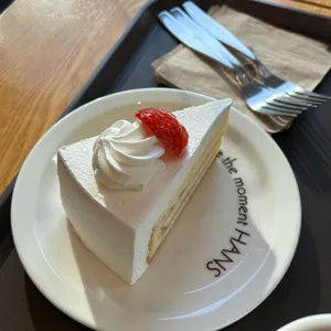 한스 사진