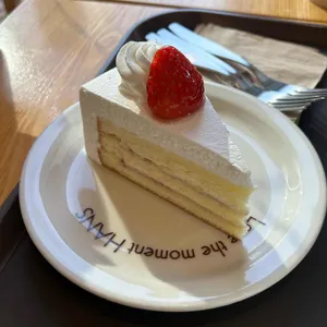 한스 사진