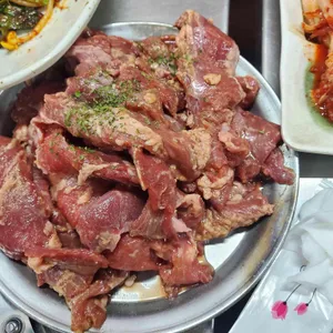 양촌갈매기 사진