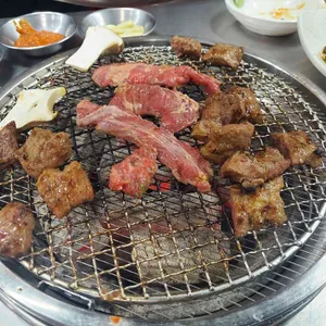 양촌갈매기 사진