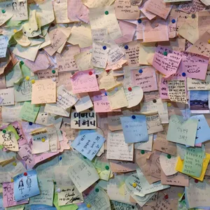 산동만두 리뷰 사진