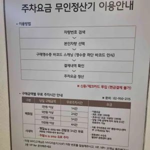 쉐이크쉑 리뷰 사진