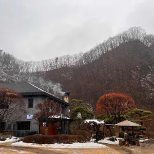 내추럴가든529 리뷰 사진