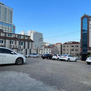더꽃 리뷰 사진