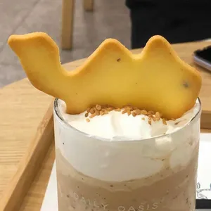 데일리오아시스 사진