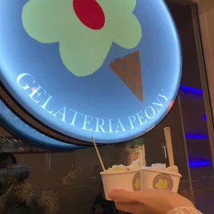 젤라떼리아 피오니 사진