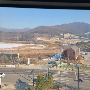 코코티하우스 리뷰 사진