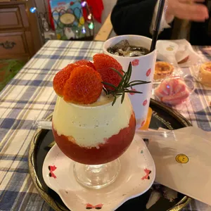 판다글로브 사진