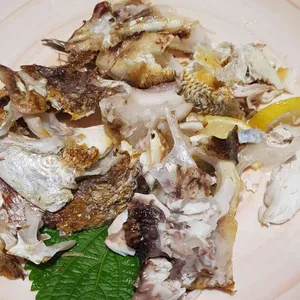 조수사 사진