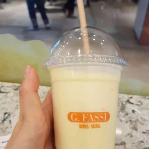 지파시 사진