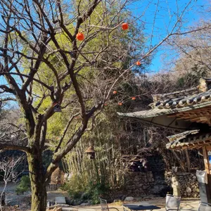 새소리 물소리 리뷰 사진