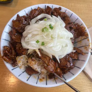 홍대개미 사진