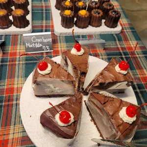 지튼 리뷰 사진