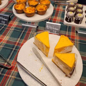 지튼 리뷰 사진