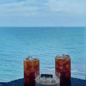 씨앤트리 사진