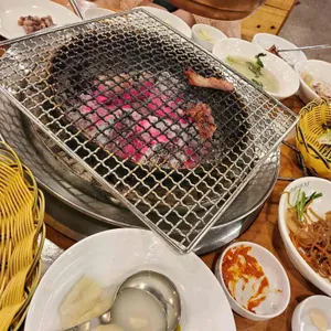 금송아지 사진