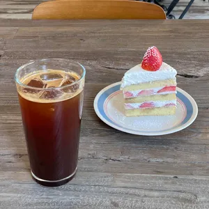 오아스 로스터스 사진