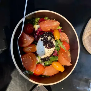차르 사진