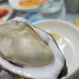 해뜨는집 사진