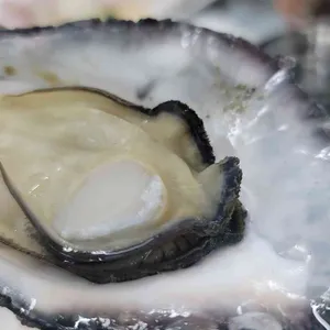 해뜨는집 사진