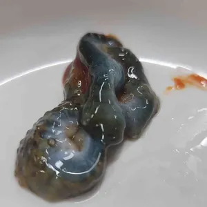 해뜨는집 리뷰 사진