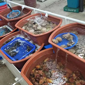 해뜨는집 리뷰 사진