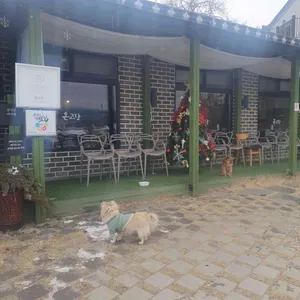 온고당 리뷰 사진